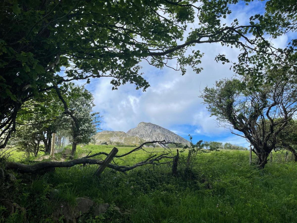 Mynydd A Mor Villa Trevor Eksteriør bilde
